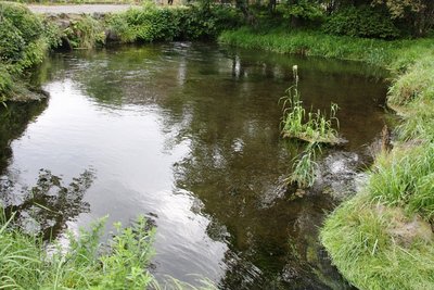 忍野八海（濁池）