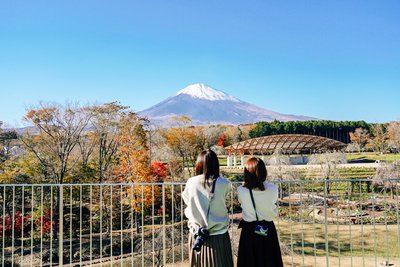 富士山樹空の森