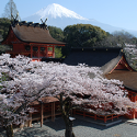6. 富士山本宮浅間大社